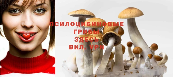 ECSTASY Алексин
