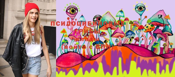 не бодяженный Новодвинск