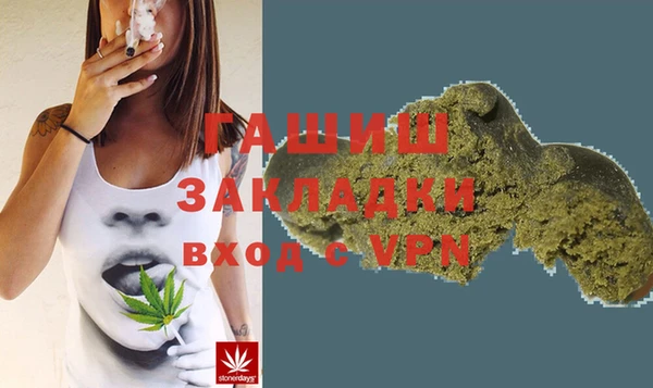 индика Алзамай