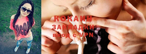 индика Алзамай