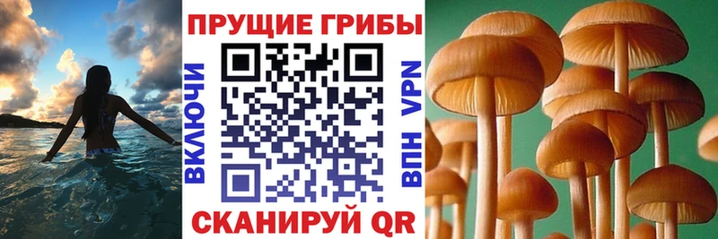 Псилоцибиновые грибы ЛСД  наркота  Нытва 